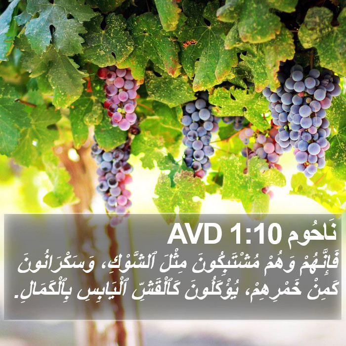 نَاحُوم 1:10 AVD Bible Study