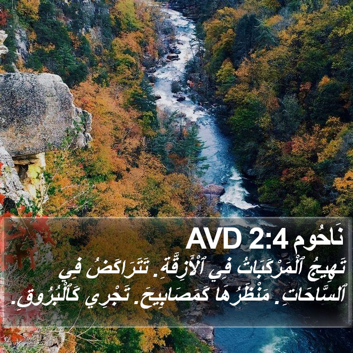 نَاحُوم 2:4 AVD Bible Study