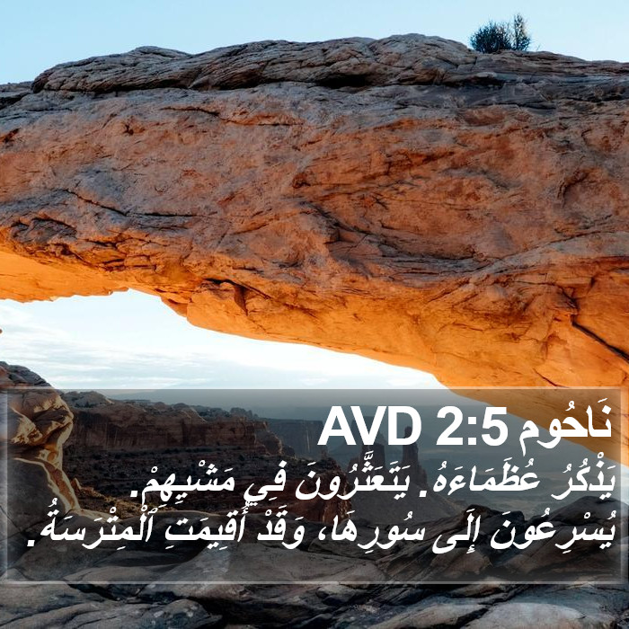 نَاحُوم 2:5 AVD Bible Study