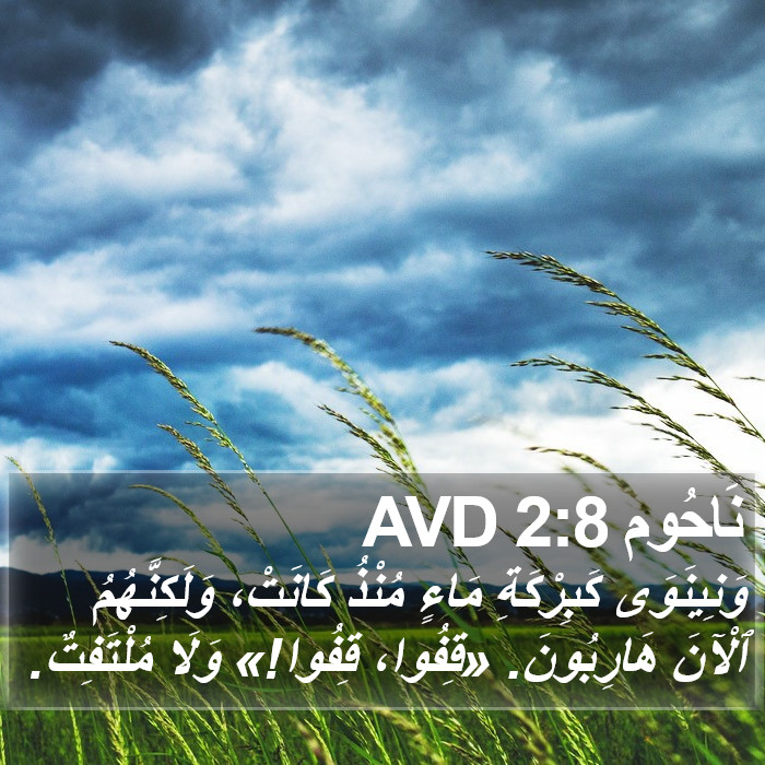 نَاحُوم 2:8 AVD Bible Study