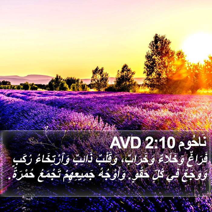 نَاحُوم 2:10 AVD Bible Study