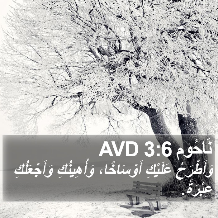 نَاحُوم 3:6 AVD Bible Study