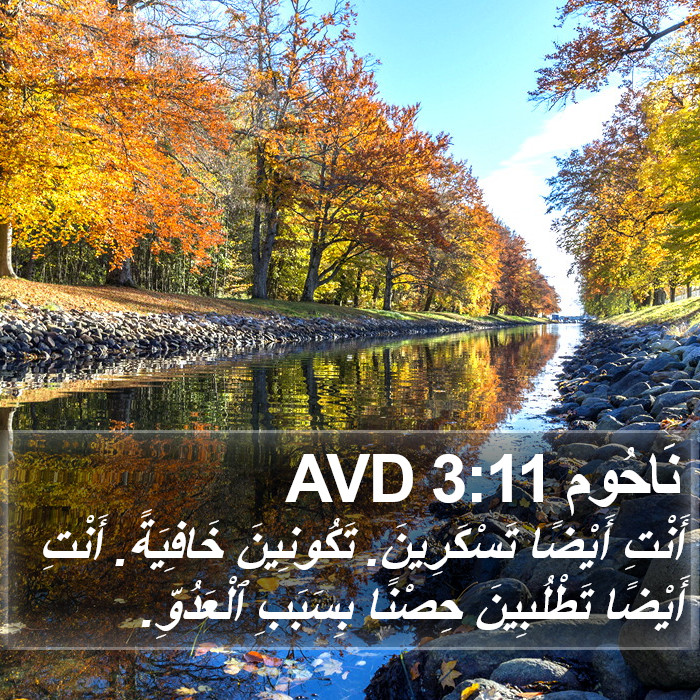 نَاحُوم 3:11 AVD Bible Study