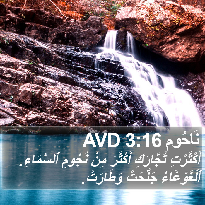 نَاحُوم 3:16 AVD Bible Study