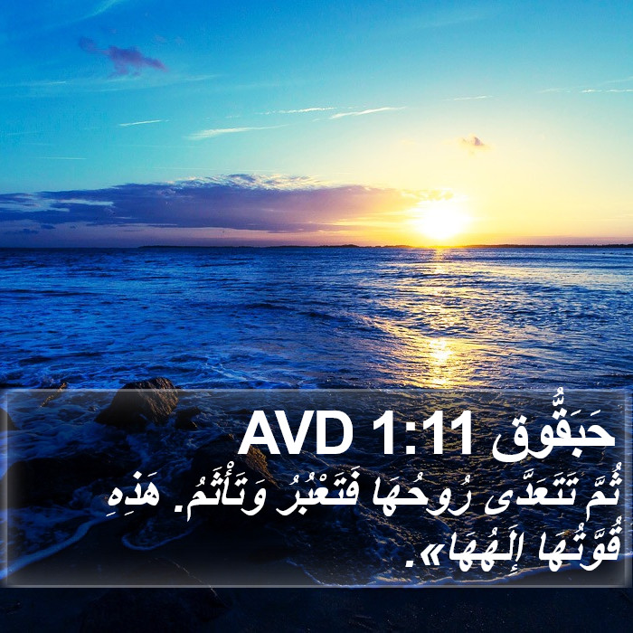 حَبَقُّوق 1:11 AVD Bible Study