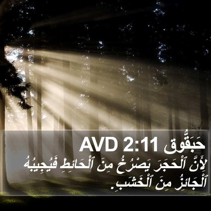 حَبَقُّوق 2:11 AVD Bible Study