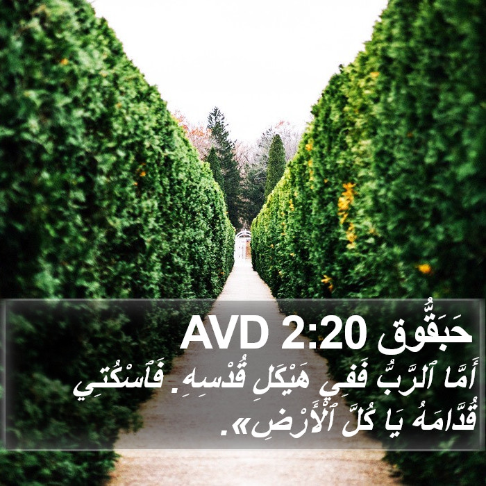 حَبَقُّوق 2:20 AVD Bible Study