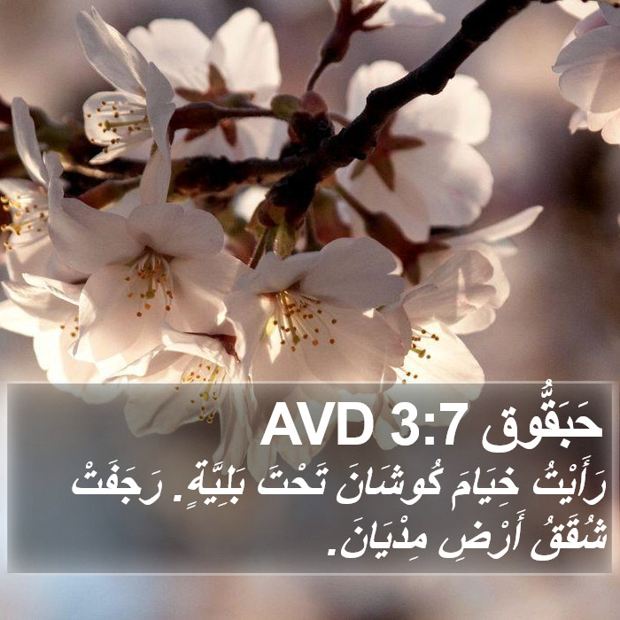 حَبَقُّوق 3:7 AVD Bible Study