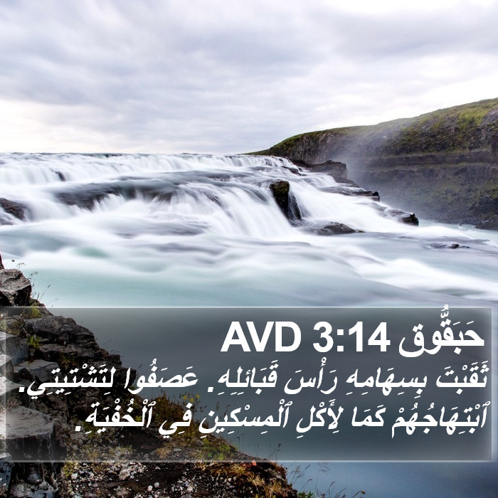 حَبَقُّوق 3:14 AVD Bible Study