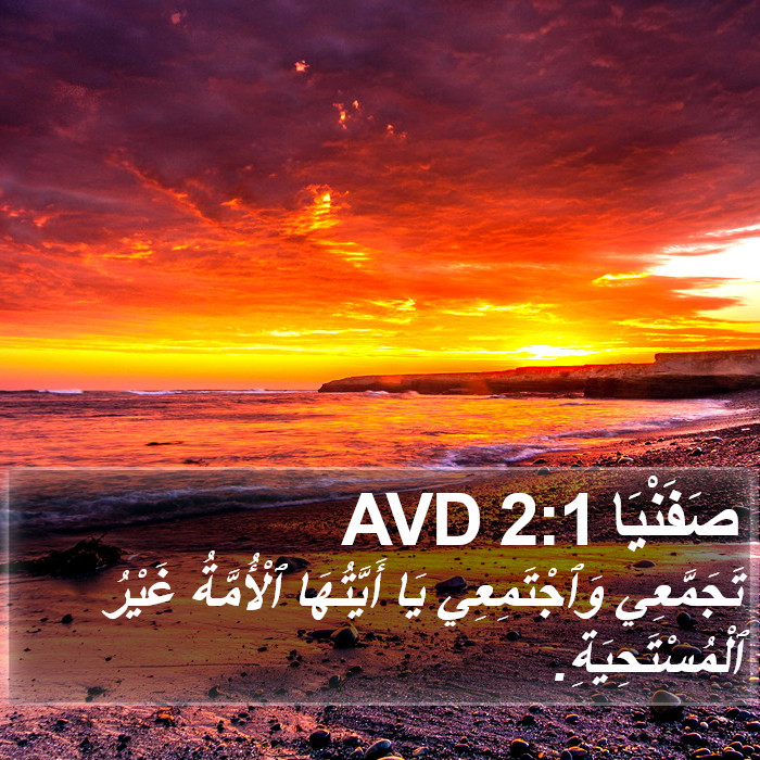 صَفَنْيَا 2:1 AVD Bible Study