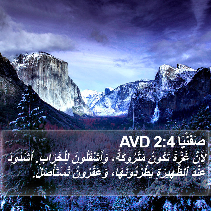 صَفَنْيَا 2:4 AVD Bible Study