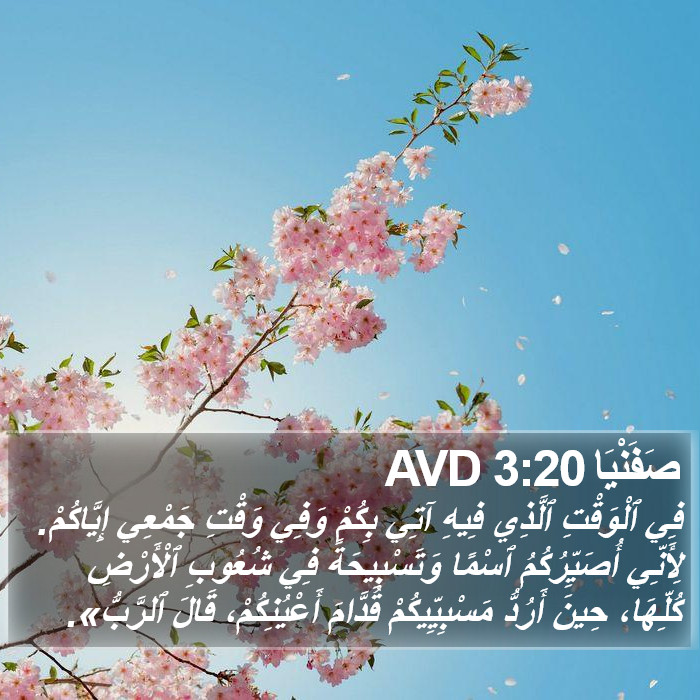 صَفَنْيَا 3:20 AVD Bible Study