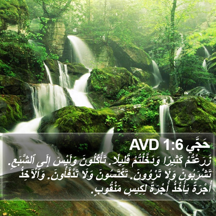 حَجَّي 1:6 AVD Bible Study