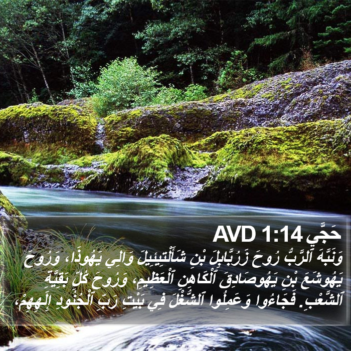 حَجَّي 1:14 AVD Bible Study