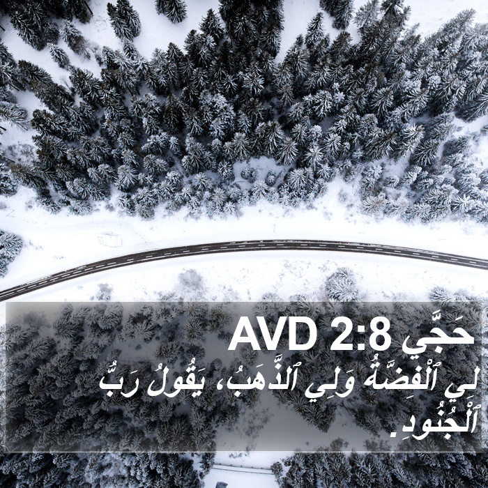 حَجَّي 2:8 AVD Bible Study