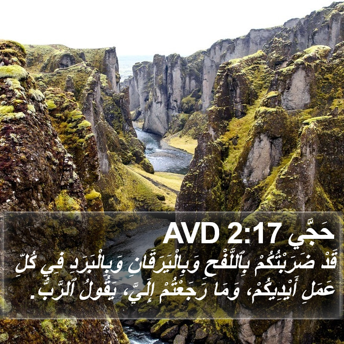 حَجَّي 2:17 AVD Bible Study