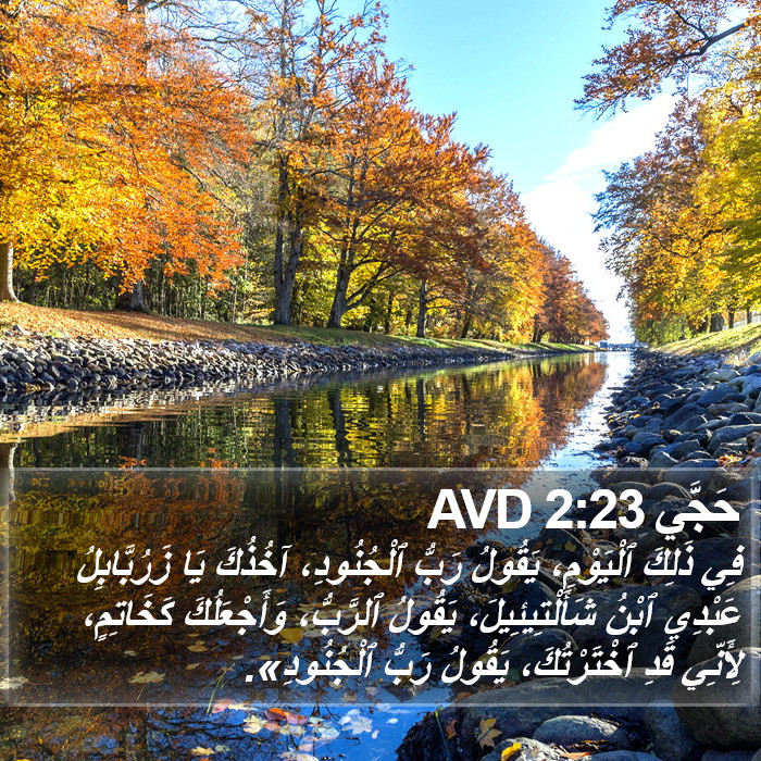 حَجَّي 2:23 AVD Bible Study