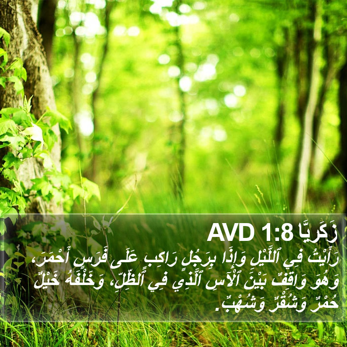 زَكَريَّا 1:8 AVD Bible Study