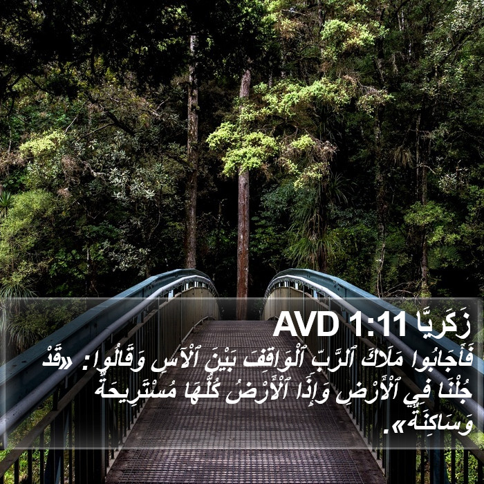 زَكَريَّا 1:11 AVD Bible Study