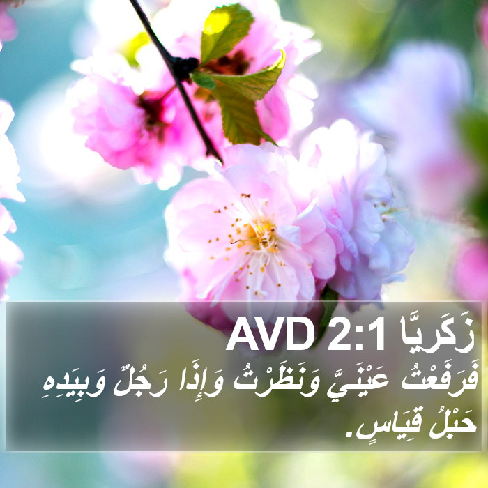 زَكَريَّا 2:1 AVD Bible Study