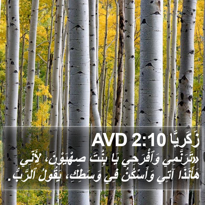 زَكَريَّا 2:10 AVD Bible Study