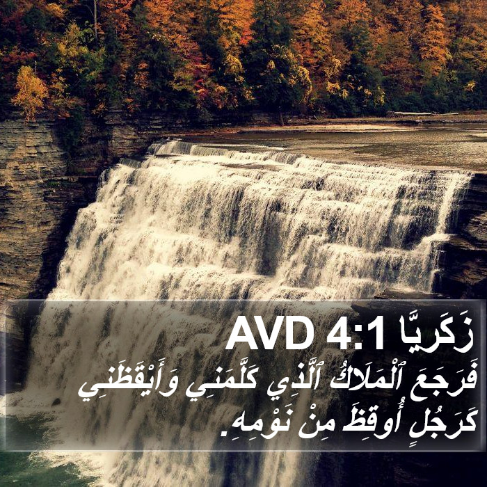 زَكَريَّا 4:1 AVD Bible Study