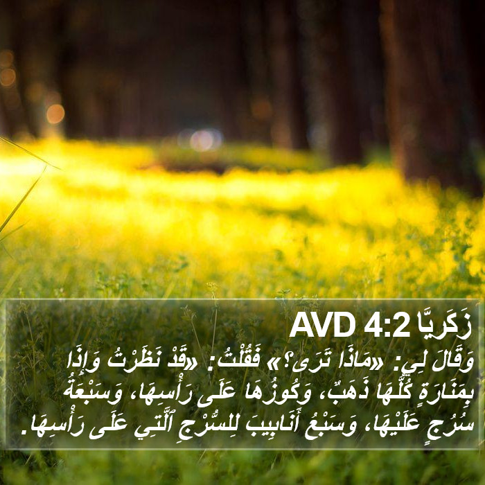 زَكَريَّا 4:2 AVD Bible Study