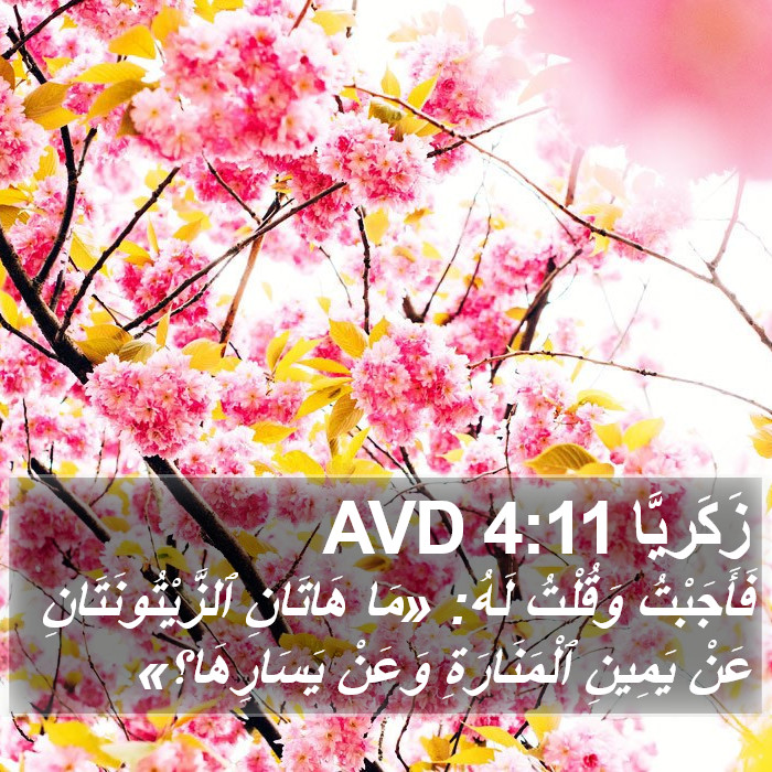زَكَريَّا 4:11 AVD Bible Study