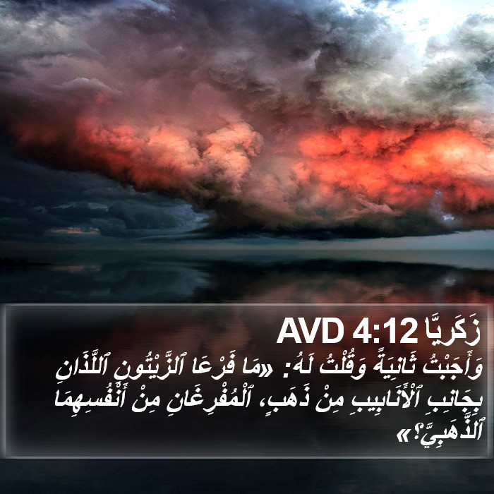 زَكَريَّا 4:12 AVD Bible Study
