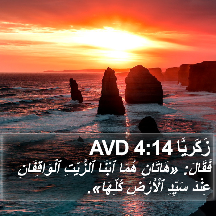 زَكَريَّا 4:14 AVD Bible Study