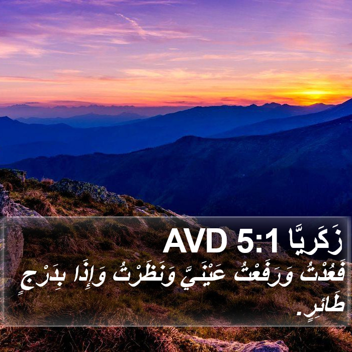 زَكَريَّا 5:1 AVD Bible Study