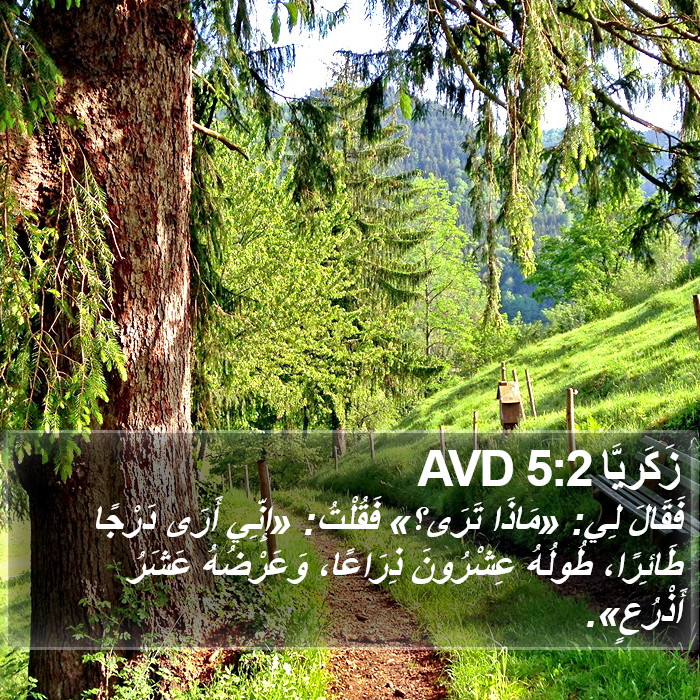 زَكَريَّا 5:2 AVD Bible Study