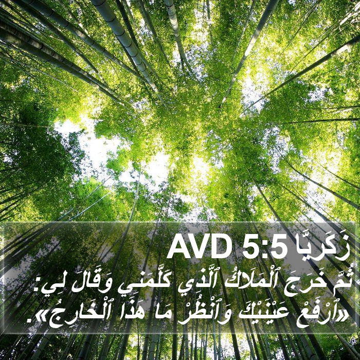 زَكَريَّا 5:5 AVD Bible Study