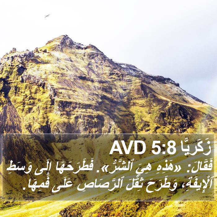 زَكَريَّا 5:8 AVD Bible Study