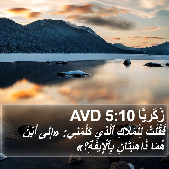 زَكَريَّا 5:10 AVD Bible Study