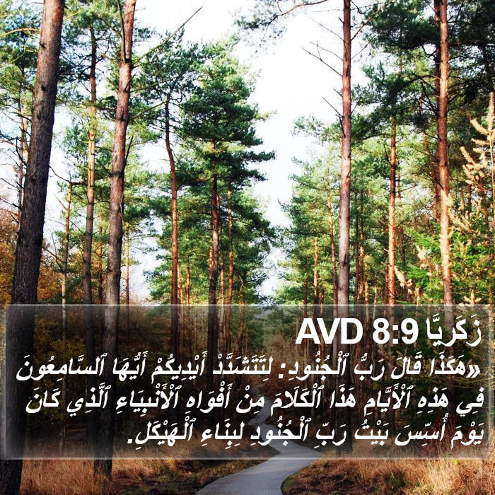 زَكَريَّا 8:9 AVD Bible Study