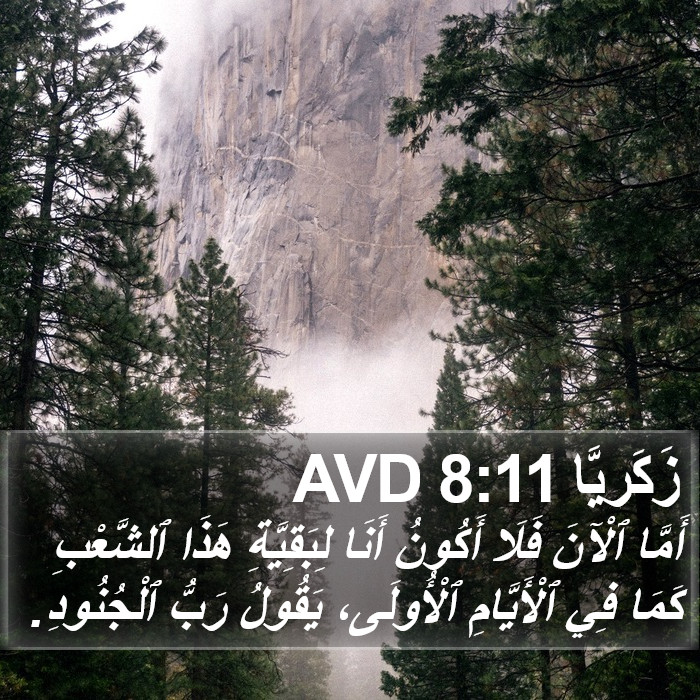 زَكَريَّا 8:11 AVD Bible Study