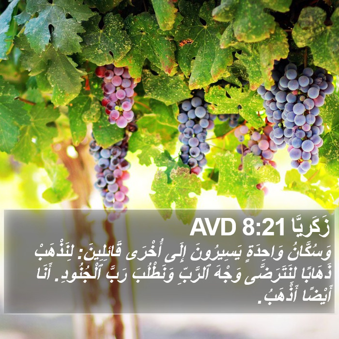زَكَريَّا 8:21 AVD Bible Study