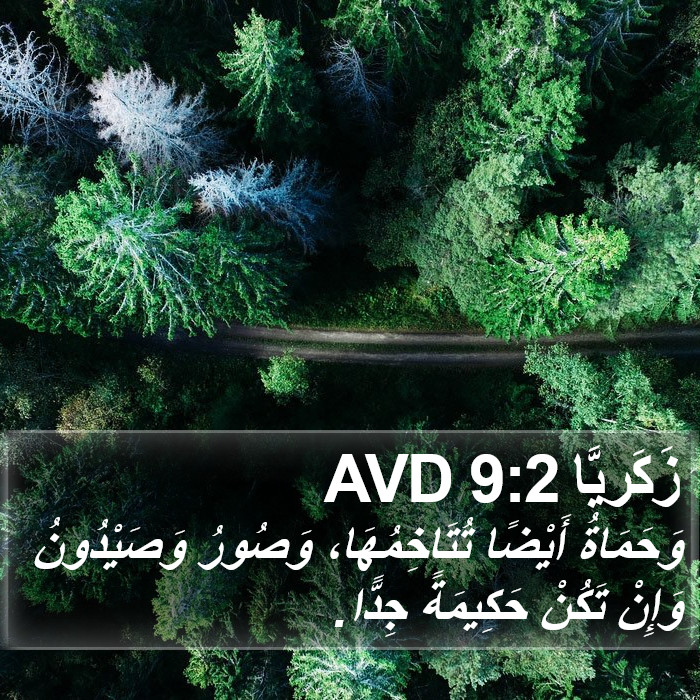 زَكَريَّا 9:2 AVD Bible Study