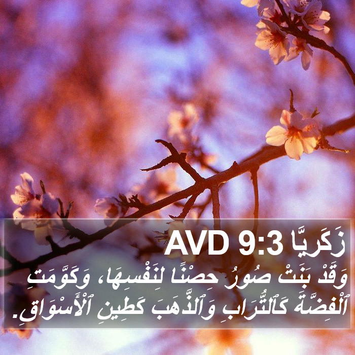 زَكَريَّا 9:3 AVD Bible Study