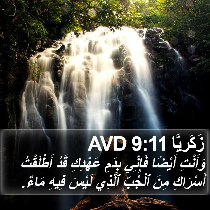 زَكَريَّا 9:11 AVD Bible Study