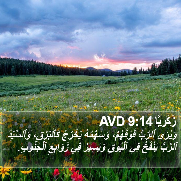 زَكَريَّا 9:14 AVD Bible Study