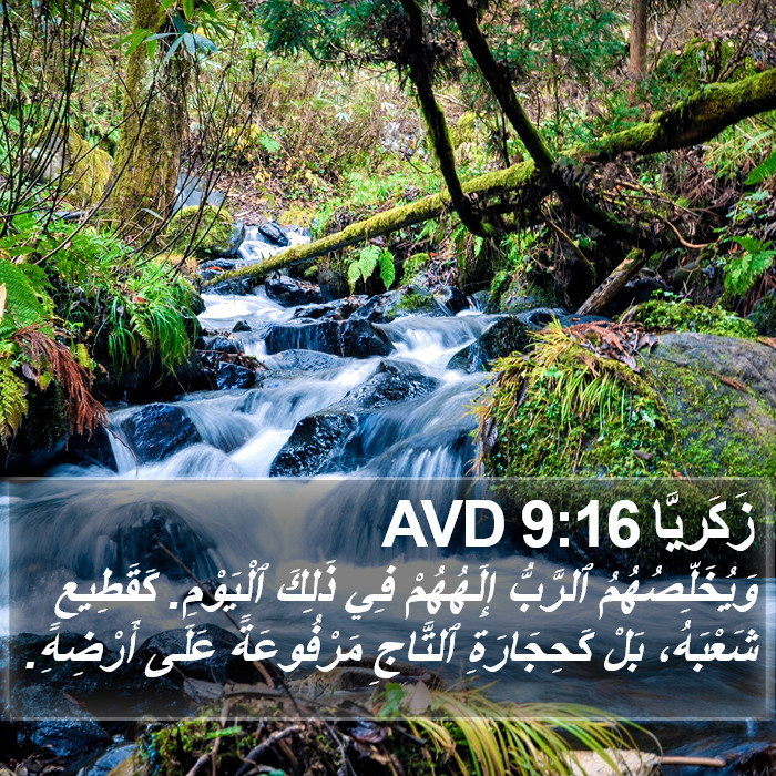 زَكَريَّا 9:16 AVD Bible Study