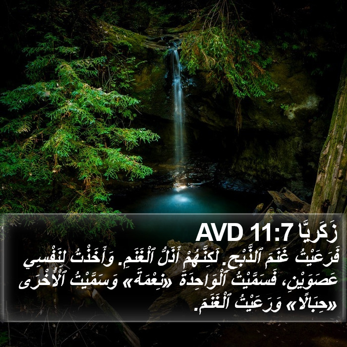 زَكَريَّا 11:7 AVD Bible Study