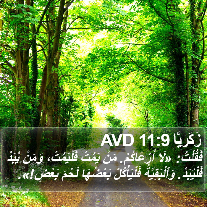 زَكَريَّا 11:9 AVD Bible Study