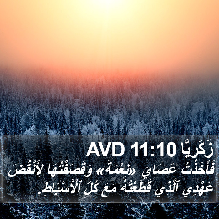 زَكَريَّا 11:10 AVD Bible Study