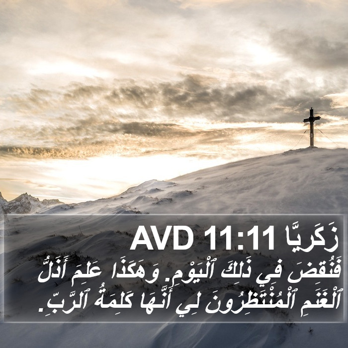 زَكَريَّا 11:11 AVD Bible Study