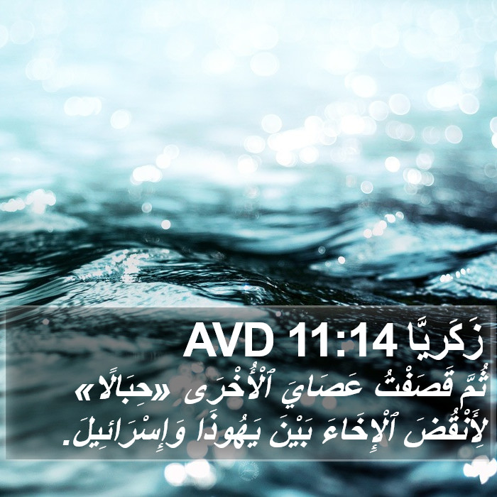 زَكَريَّا 11:14 AVD Bible Study