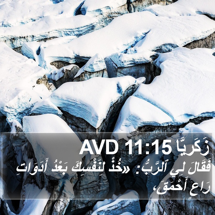 زَكَريَّا 11:15 AVD Bible Study