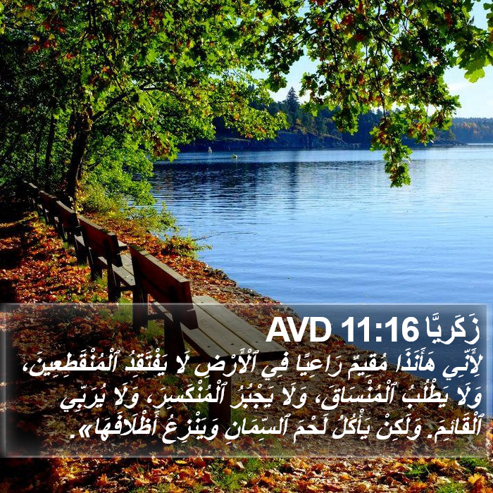 زَكَريَّا 11:16 AVD Bible Study